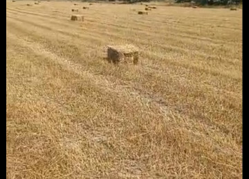 3 hektar ərazi satılır Şurabad-Xızı rayonunda Çox münbit