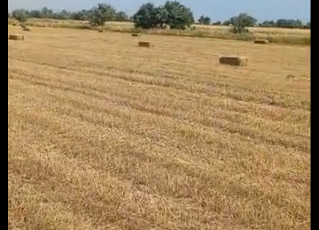 3 hektar ərazi satılır Şurabad-Xızı rayonunda Çox münbit