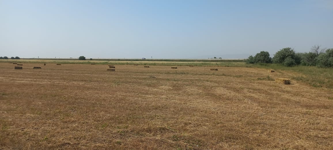 3 hektar ərazi satılır Şurabad-Xızı rayonunda Çox münbit