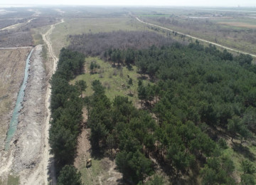 60 hektar ərazi satılır Gilezi qesebesi,Denize "0" 3