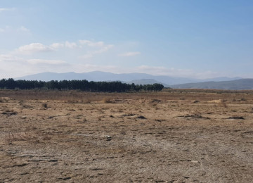 60 hektar ərazi satılır Gilezi qesebesi,Denize "0" 3