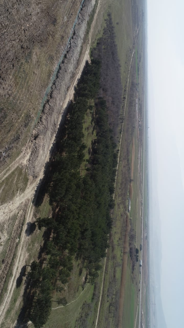 60 hektar ərazi satılır Gilezi qesebesi,Denize "0" 3