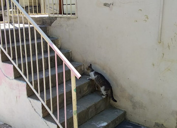 Nəsimi metrosundan 5 dəqiqəlik məsafədə həyət evimi kirayə