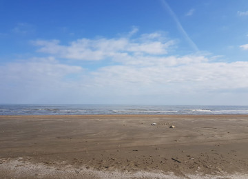 15 hektar ərazi satılır Gilezide Dənizə 0 700 min manat