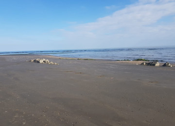 15 hektar ərazi satılır Gilezide Dənizə 0 700 min manat