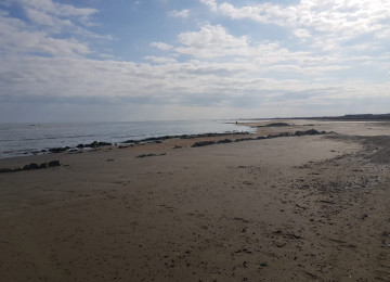 15 hektar ərazi satılır Gilezide Dənizə 0 700 min manat