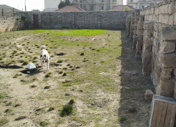 Buzovnada qəsəbəsində, “Dənizkənarı 5” ünvanında 10 sot