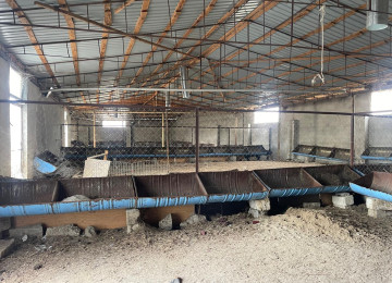 Ferma ve Ev satílír 36 sotda 1000 kv tikintiyle 500