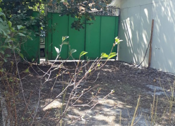 IVANOVKADA 33 sot meyve agaclarla dolu heyet 2 küçeye