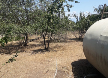 IVANOVKADA 33 sot meyve agaclarla dolu heyet 2 küçeye