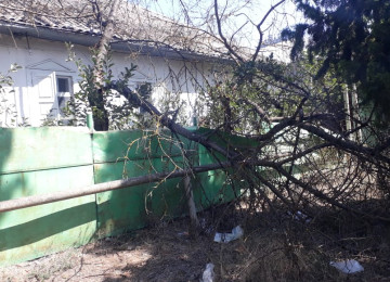 IVANOVKADA 33 sot meyve agaclarla dolu heyet 2 küçeye