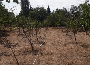 IVANOVKADA 33 sot meyve agaclarla dolu heyet 2 küçeye