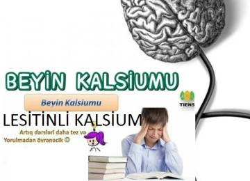 “ Beyin Fəaliyyətini və Baş-Beyinə Qan Dövranını