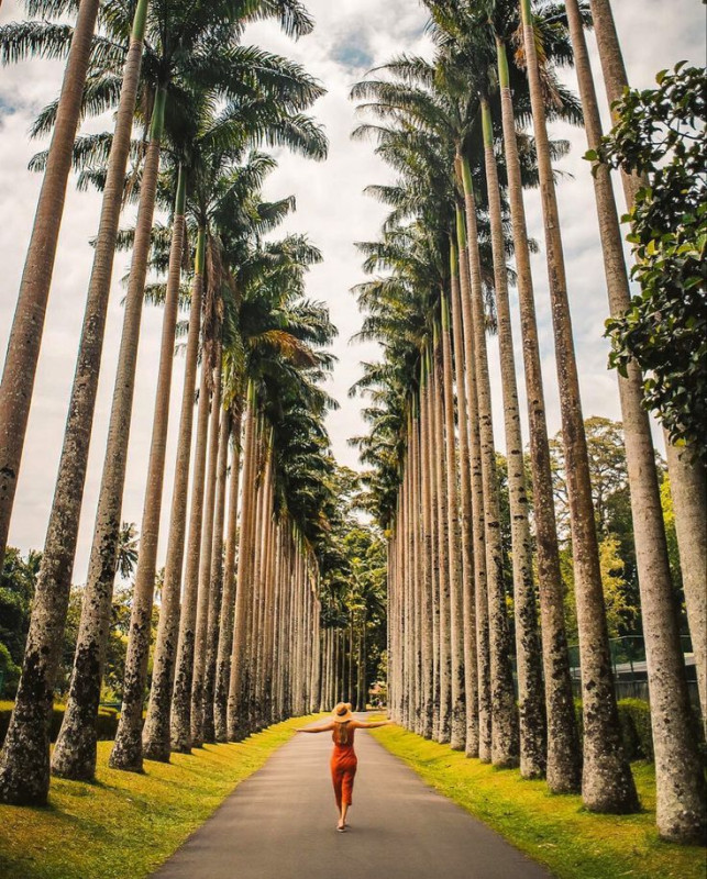 Şri Lanka Turu 🌇Şri-Lanka TURU🌇 📅15.08.2024—20.08.2024 🏨TROPICANA