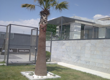 Síxov baĝlarí Villalarín satíşí Dəniz mənzərəli hər otaqdan