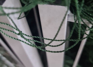 İdman toru. Topun eni - 10 m Uzunluğu - 100 m Qalınlıq - 3