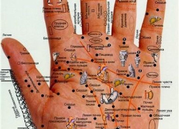 AKULAYF-MÖCÜZƏVİ DİAQNOSTİKA APARATI TEL.:050