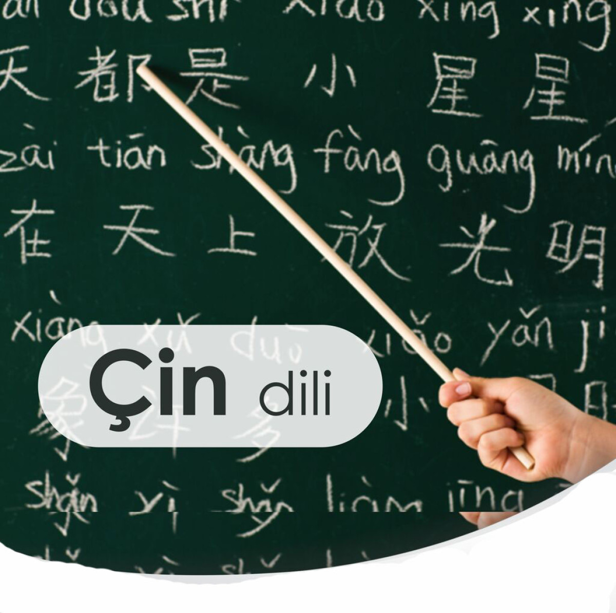 Çin dili kursları fərdi individual dərslər Çin dili kursları fərdi individual dərslər Kursumuzda Çin