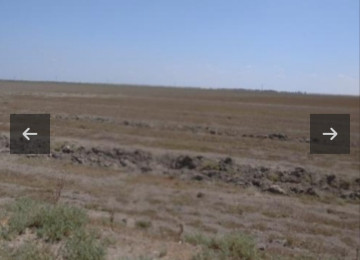 195 hektar ərazi satılır Neftçala Qaravelli ərazi 70 hektar