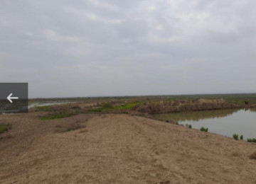 195 hektar ərazi satılır Neftçala Qaravelli ərazi 70 hektar