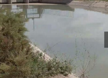 195 hektar ərazi satılır Neftçala Qaravelli ərazi 70 hektar