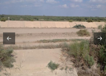 195 hektar ərazi satılır Neftçala Qaravelli ərazi 70 hektar