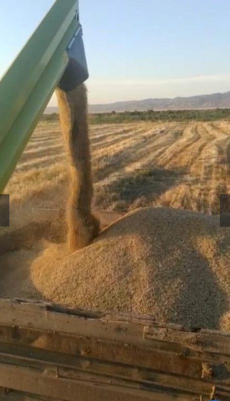 400 ha ərazi satılır Salyanda 400 ha ərazi satılır Salyan r. Xüsusi Mülkiyyet Kend tes.