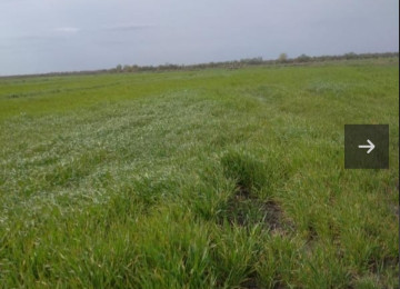 400 ha ərazi satılır Salyan r. Xüsusi Mülkiyyet Kend tes.