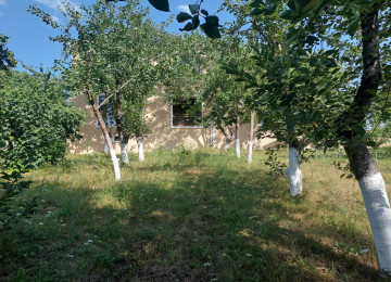 Quba -Qusar yolunun üstündə Diqah kendi ərazisində 18 sot