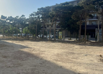 MƏXFİLİYƏ ZƏMANƏT VERİLİR. Şirkər tərəfindən alıcıdan hec