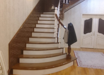 Şam (100 azn) , fıstıq (150 azn) və göyrüş (250 azn)