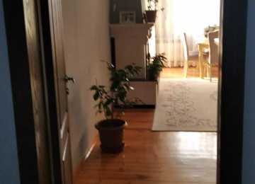 Qusar şəhərinin mərkəzində Z.Əliyeva 14 ünvanında yerləşən