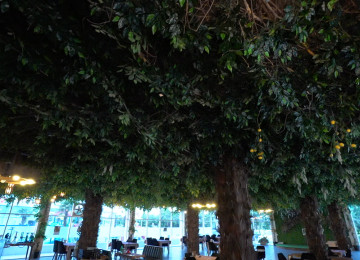 OBYEKTLƏR SATILIR ASTARADA BULVARLA üzbəüz BULVAR