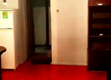 Qara Qarayev Rizvan Teymurov 28 küçəsində yerləşən 5