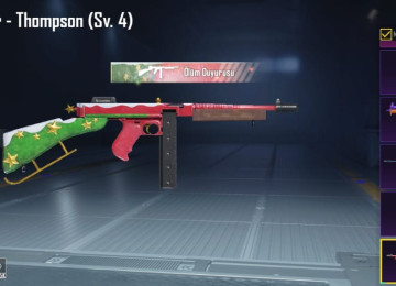 hesaba aylıq net 30+ pul vurulur bu sezon rp vurulsa