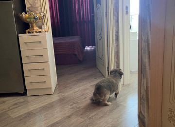 Masazırda Çıxarışlı(Kupçalı)mənzil satılır. Bina Masazırın