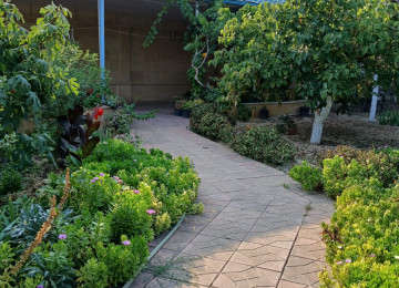 "BAKI ƏMLAK HOUSE" şirkəti tərəfindən Buzovna qəsəbəsində