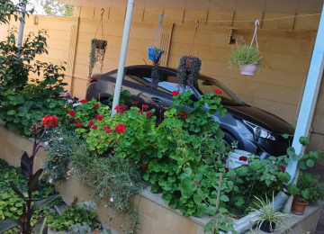 "BAKI ƏMLAK HOUSE" şirkəti tərəfindən Buzovna qəsəbəsində