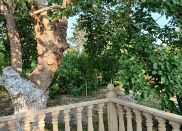 "BAKI ƏMLAK HOUSE" şirkəti tərəfindən Buzovna qəsəbəsində