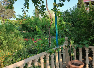 "BAKI ƏMLAK HOUSE" şirkəti tərəfindən Buzovna qəsəbəsində