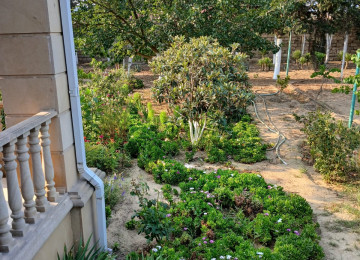 "BAKI ƏMLAK HOUSE" şirkəti tərəfindən Buzovna qəsəbəsində