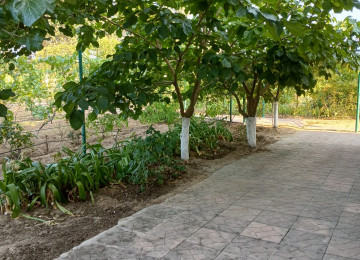 "BAKI ƏMLAK HOUSE" şirkəti tərəfindən Buzovna qəsəbəsində