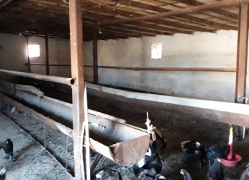 TECILI SAHIBINDEN FARMA TESERRUFATİ SATILIR. Deyerinden cox