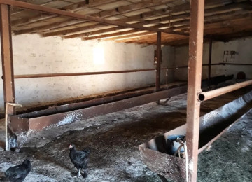 TECILI SAHIBINDEN FARMA TESERRUFATİ SATILIR. Deyerinden cox