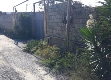 TECILI SAHIBINDEN FARMA TESERRUFATİ SATILIR. Deyerinden cox