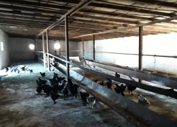 TECILI SAHIBINDEN FARMA TESERRUFATİ SATILIR. Deyerinden cox