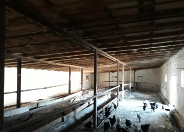 TECILI SAHIBINDEN FARMA TESERRUFATİ SATILIR. Deyerinden cox