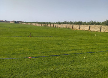 Hacıqabul rayonu Atbulaq qəsəbəsində yol qırağı torpaq