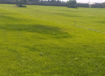 Hacıqabul rayonu Atbulaq qəsəbəsində yol qırağı torpaq