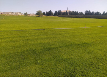 Hacıqabul rayonu Atbulaq qəsəbəsində yol qırağı torpaq